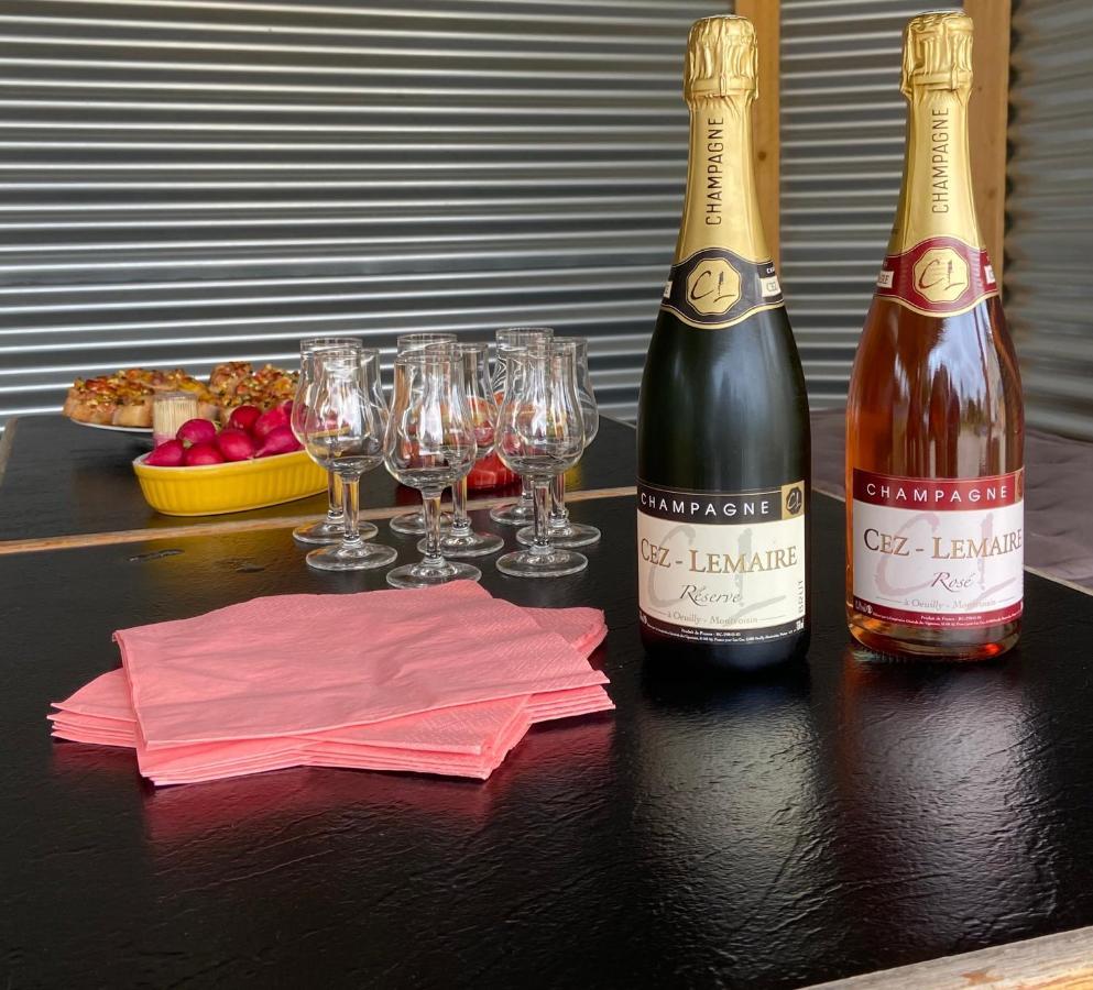 Le Domaine De L Etang Le Merger Oeuilly エクステリア 写真